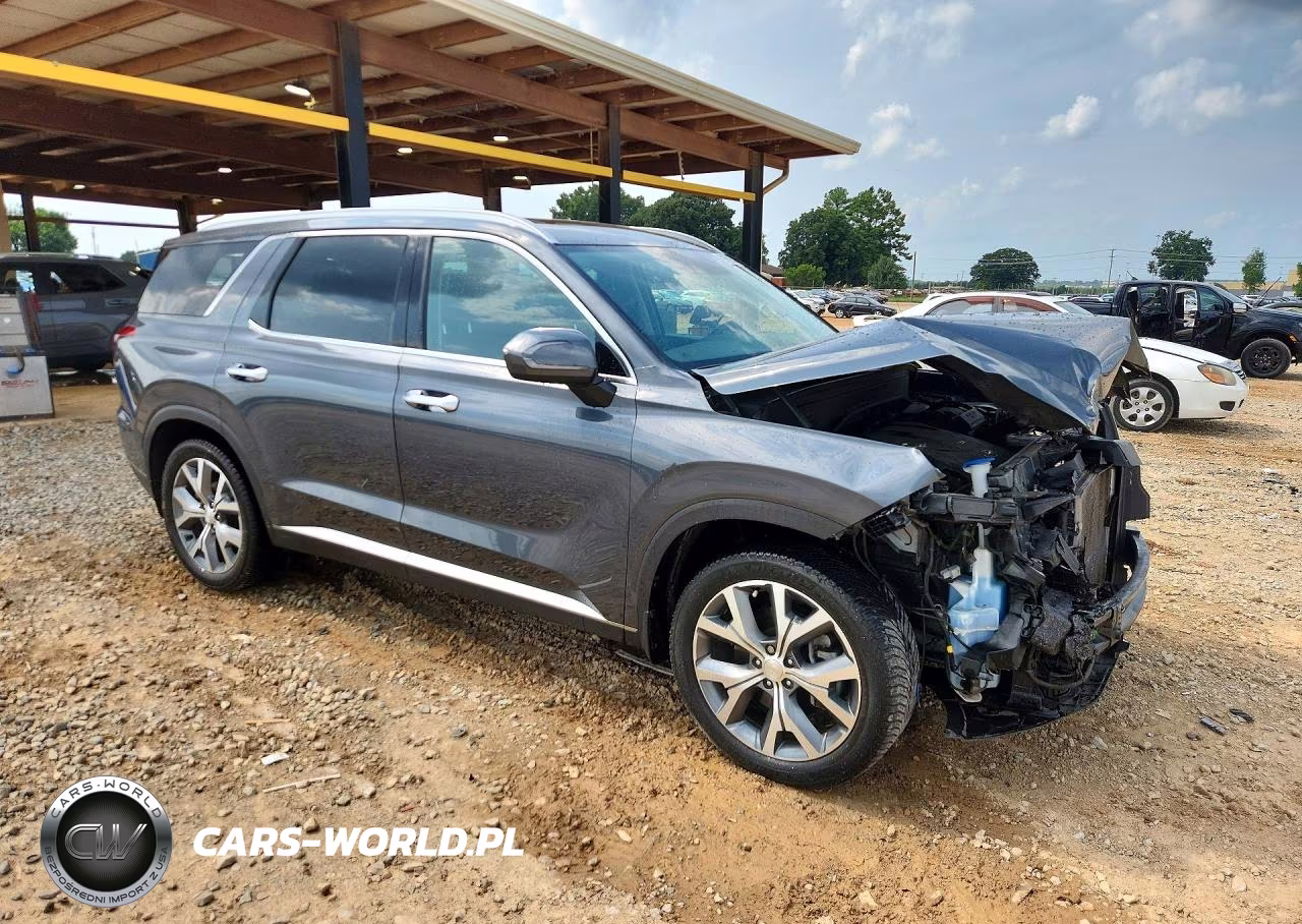 2020 Hyundai Palisade Sel VIN:KM8R44HE0LU114141 - 4