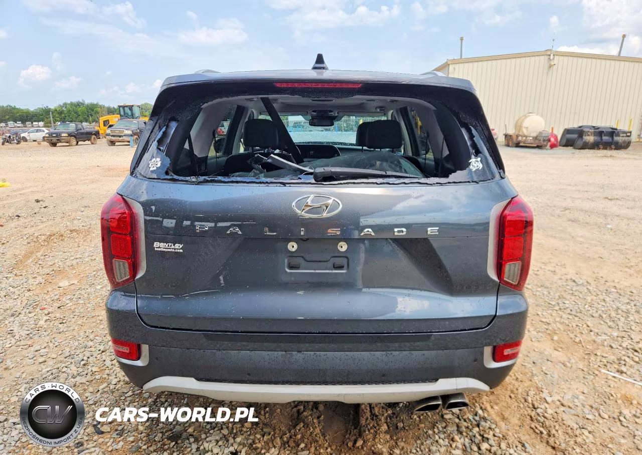2020 Hyundai Palisade Sel VIN:KM8R44HE0LU114141 - 6