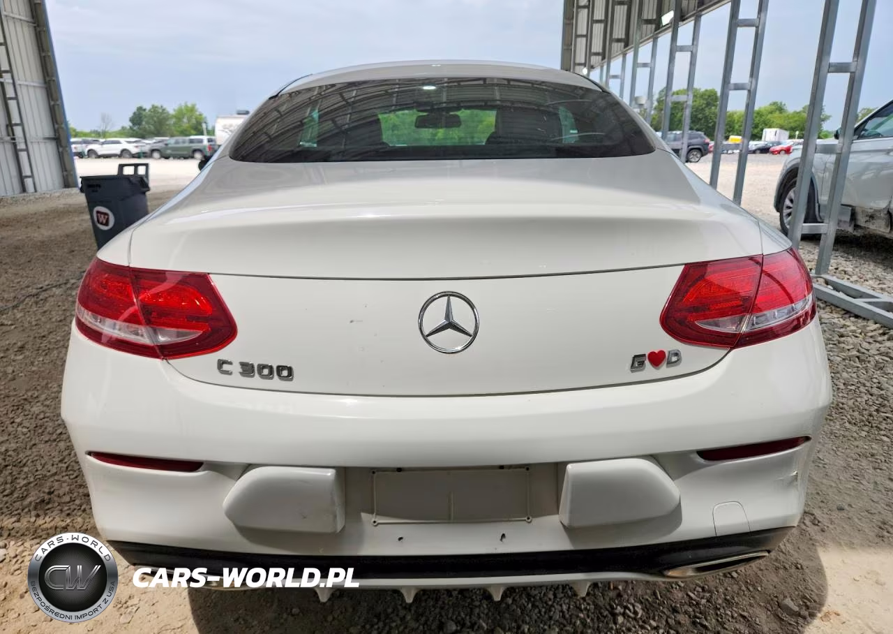 2017 Mercedes-Benz C 300 VIN:WDDWJ4JB3HF392677 - 6