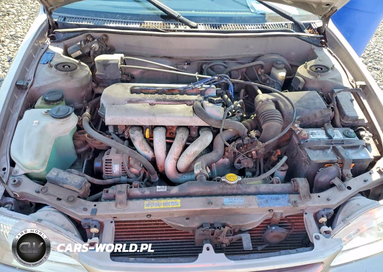 1998 Toyota Corolla Ve VIN:1NXBR18E9WZ005828 - 11