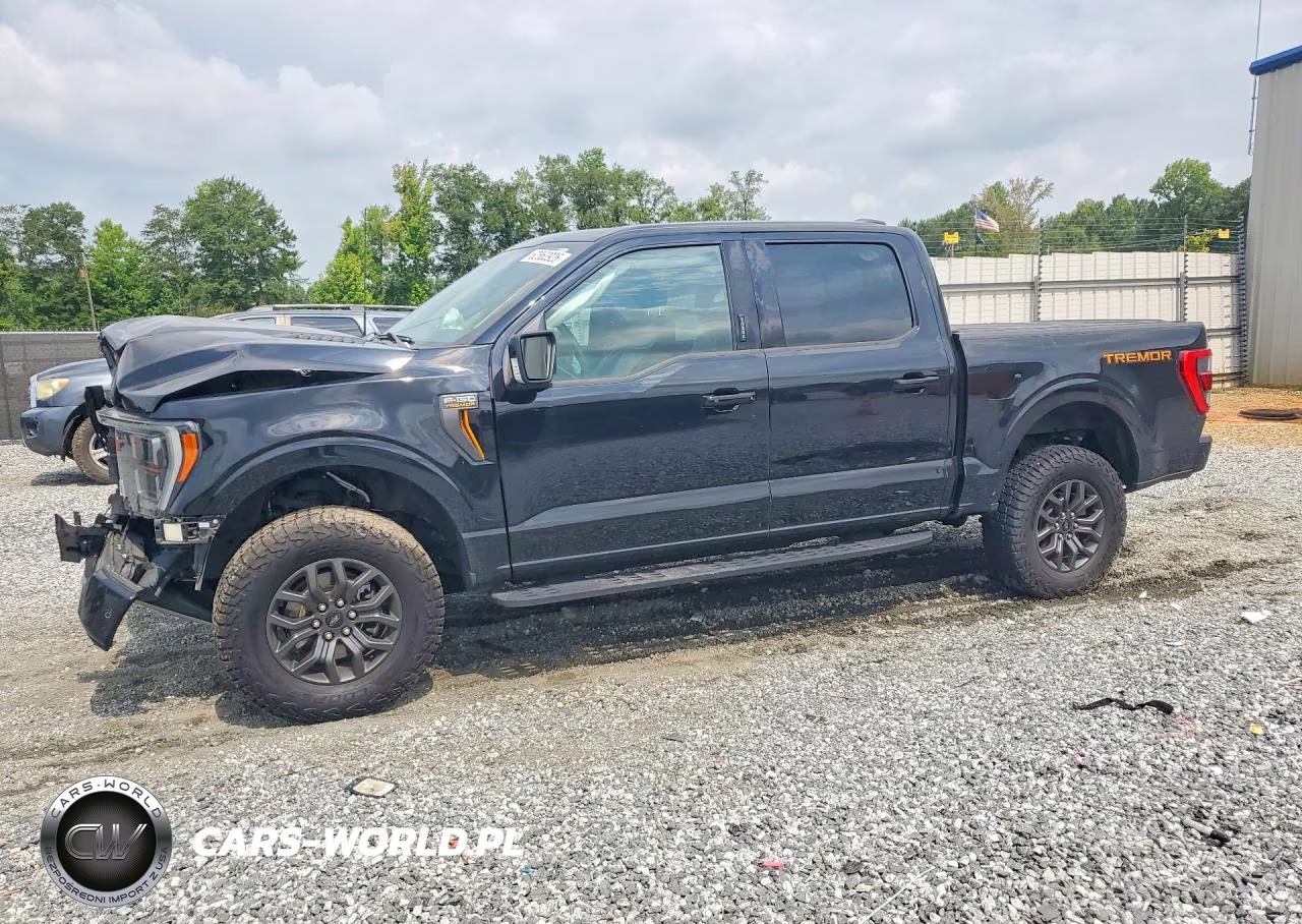 2021 Ford F150 Supercrew VIN:1FTEW1E81MFC18198 - 1