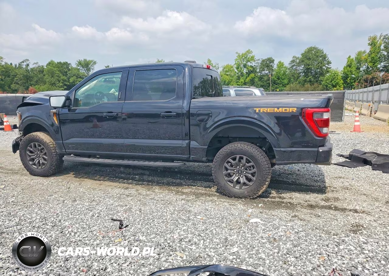 2021 Ford F150 Supercrew VIN:1FTEW1E81MFC18198 - 2