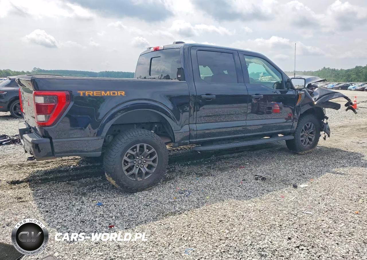 2021 Ford F150 Supercrew VIN:1FTEW1E81MFC18198 - 3
