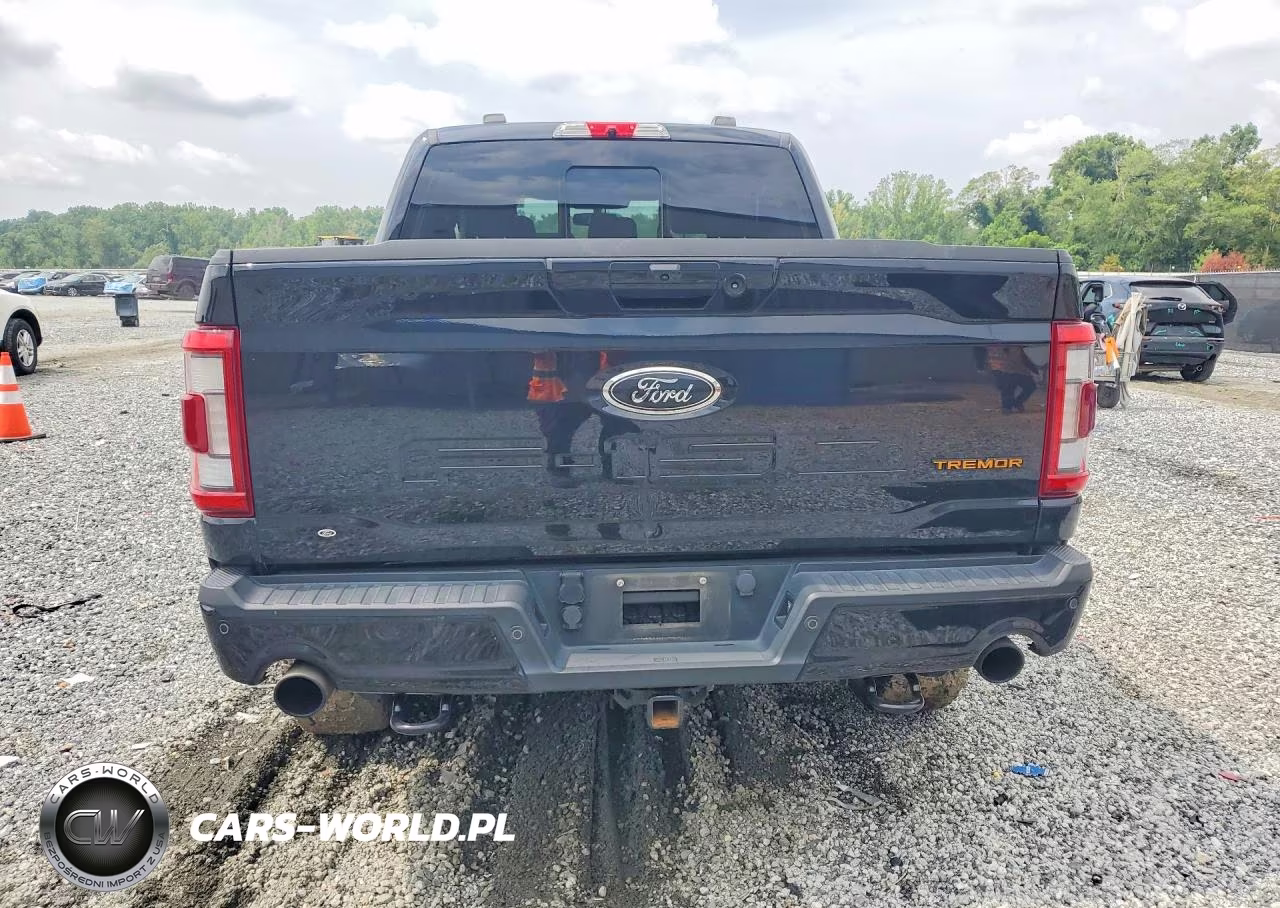 2021 Ford F150 Supercrew VIN:1FTEW1E81MFC18198 - 6
