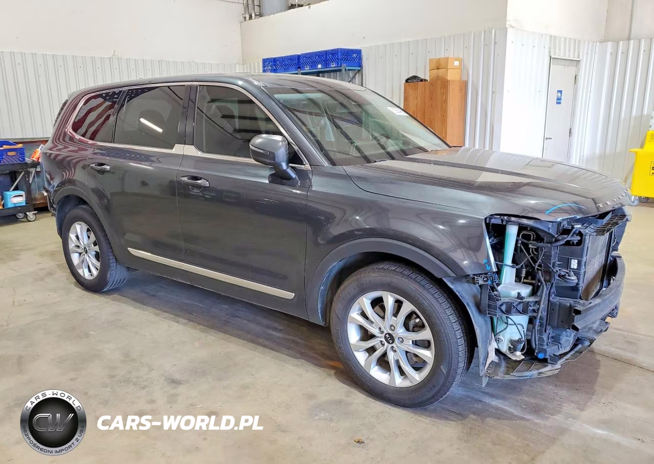 2020 Kia Telluride Lx VIN:5XYP24HC8LG008943 - 4