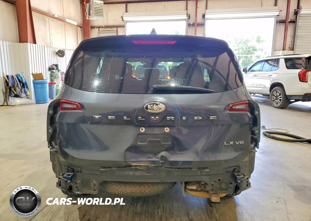 2020 Kia Telluride Lx VIN:5XYP24HC8LG008943 - 6