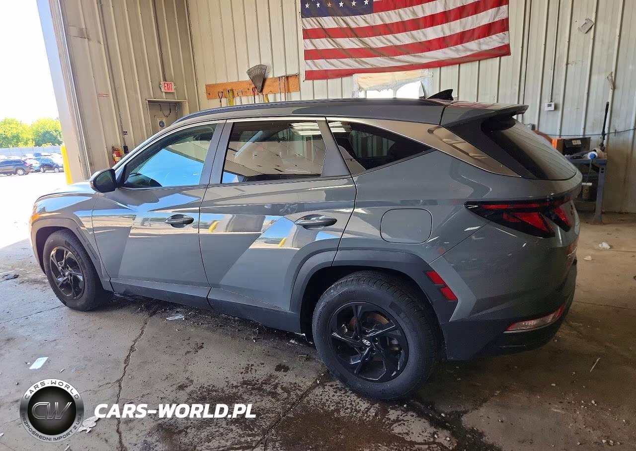 2024 Hyundai Tucson Sel VIN:5NMJB3DE1RH387841 - 2