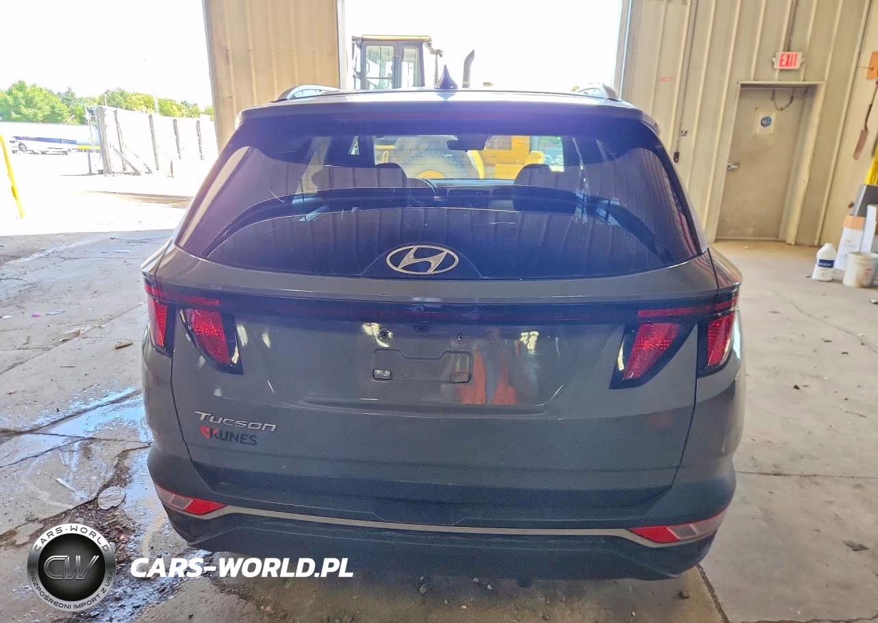 2024 Hyundai Tucson Sel VIN:5NMJB3DE1RH387841 - 6