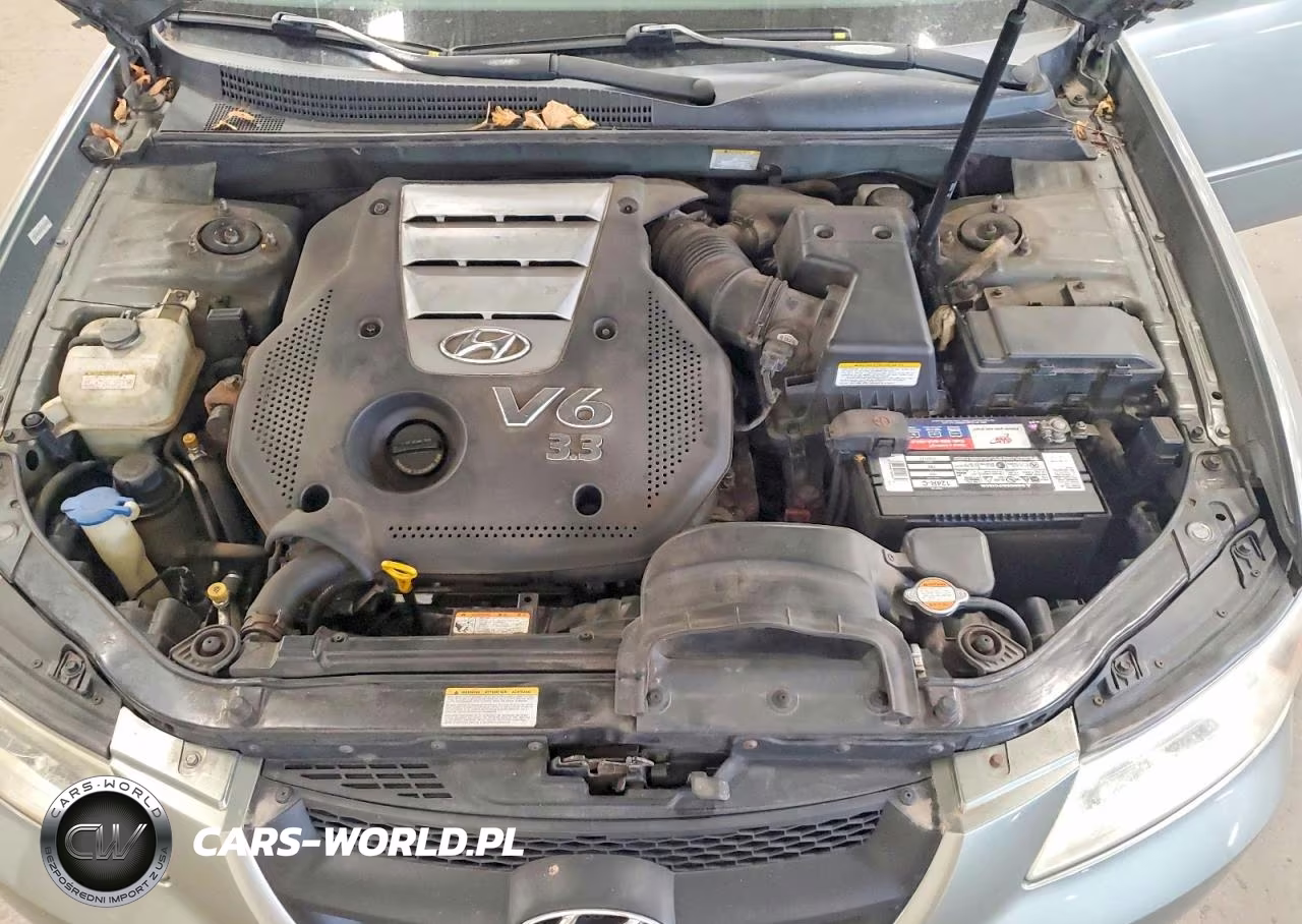 2007 Hyundai Sonata Se VIN:5NPEU46F27H261026 - 11
