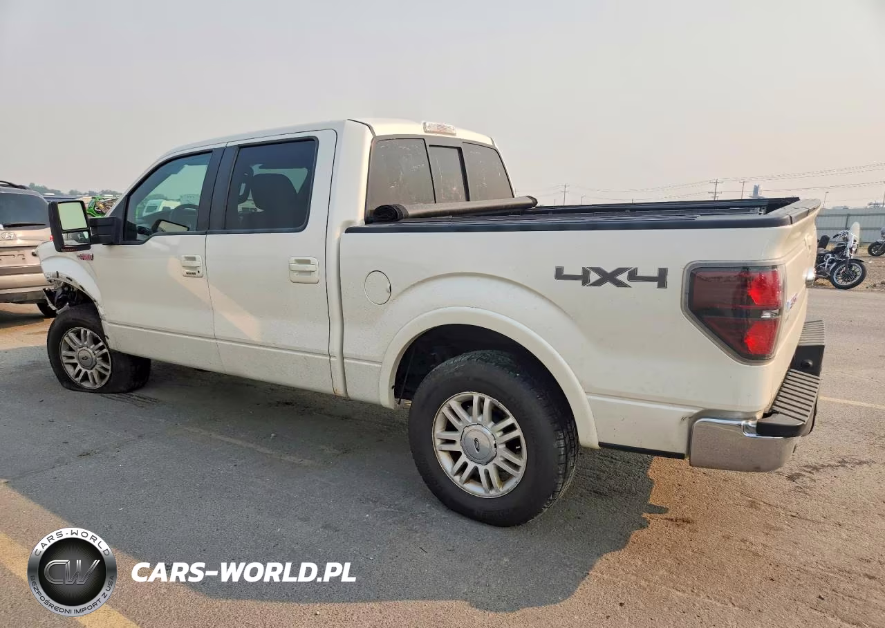 2009 Ford F150 VIN:1FTPW14V29KC78957 - 2