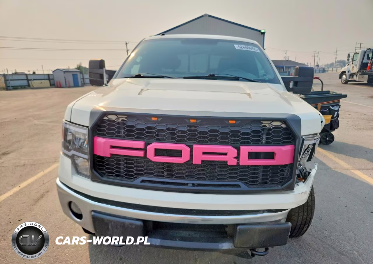 2009 Ford F150 VIN:1FTPW14V29KC78957 - 5
