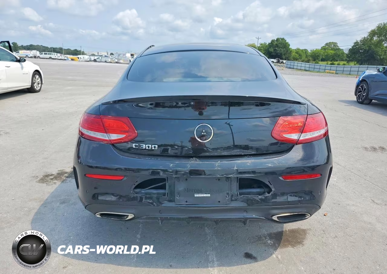 2017 Mercedes-Benz C 300 VIN:WDDWJ4JB4HF367237 - 6
