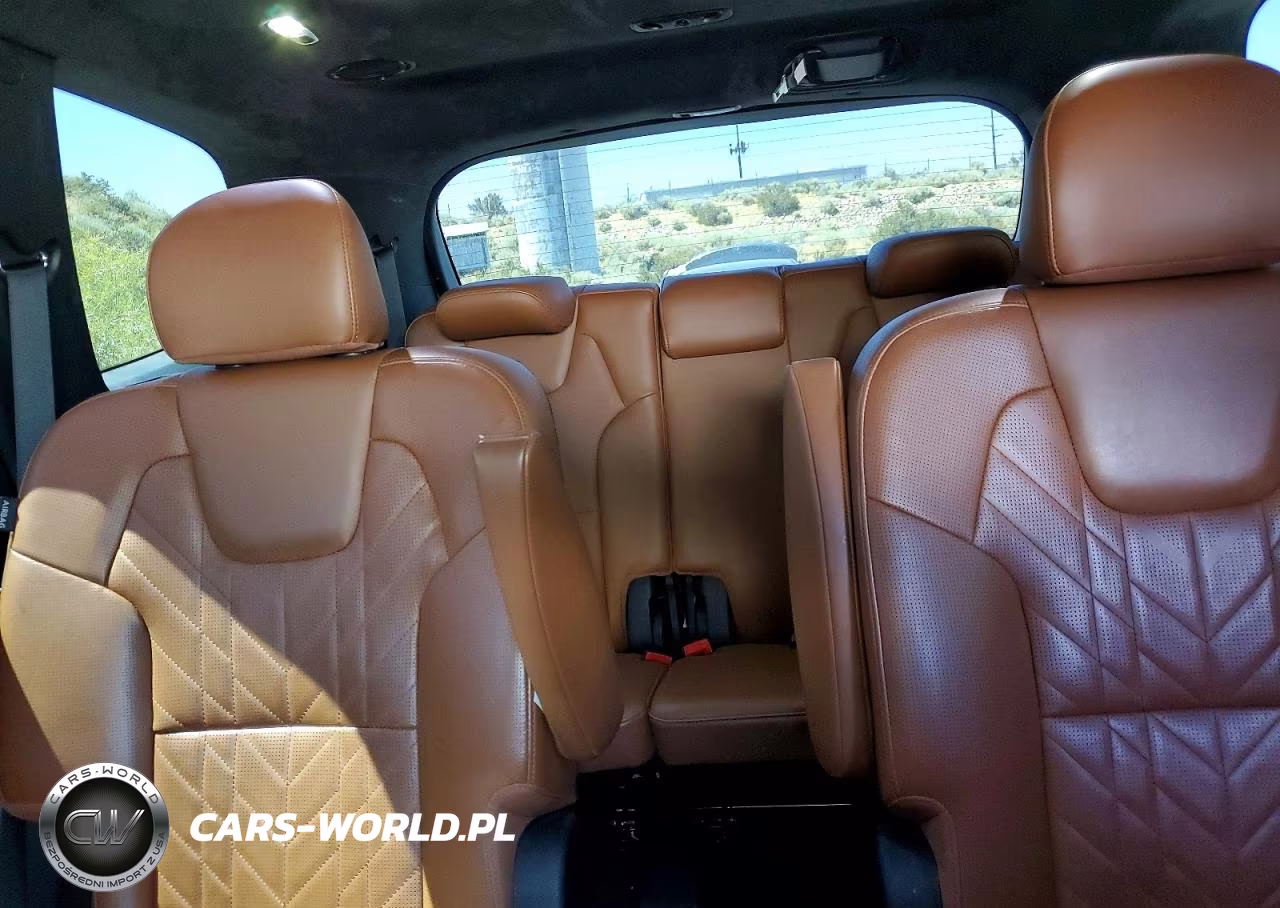 2024 Kia Telluride Sx-Prestige X-Line VIN:5XYP5DGCXRG550434 - 10
