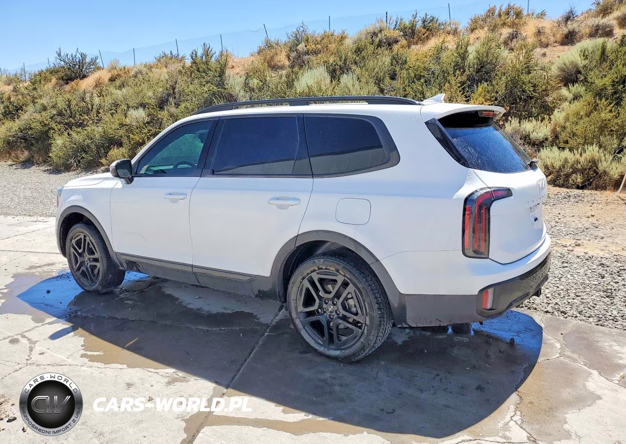 2024 Kia Telluride Sx-Prestige X-Line VIN:5XYP5DGCXRG550434 - 2