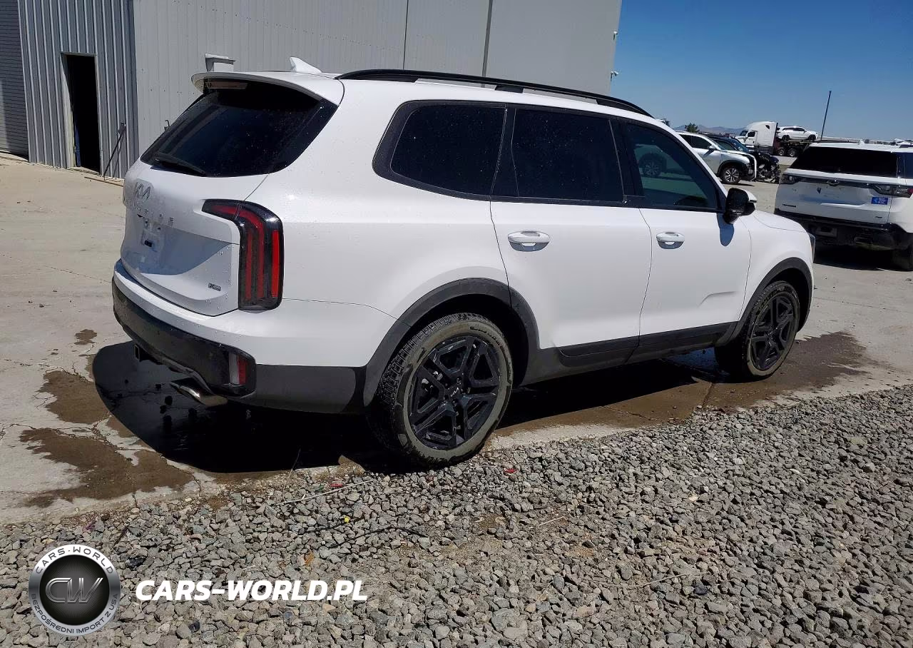 2024 Kia Telluride Sx-Prestige X-Line VIN:5XYP5DGCXRG550434 - 3