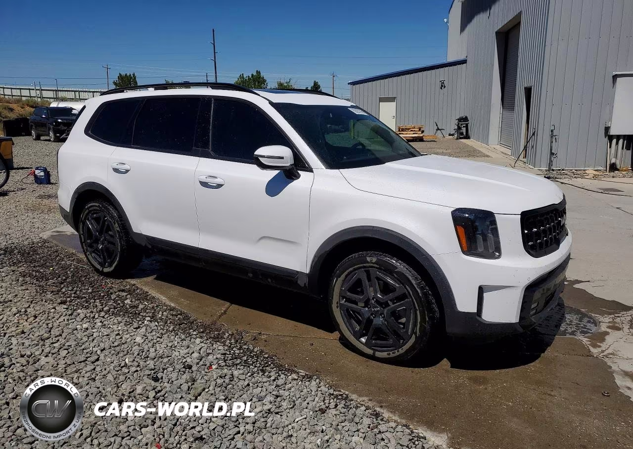2024 Kia Telluride Sx-Prestige X-Line VIN:5XYP5DGCXRG550434 - 4