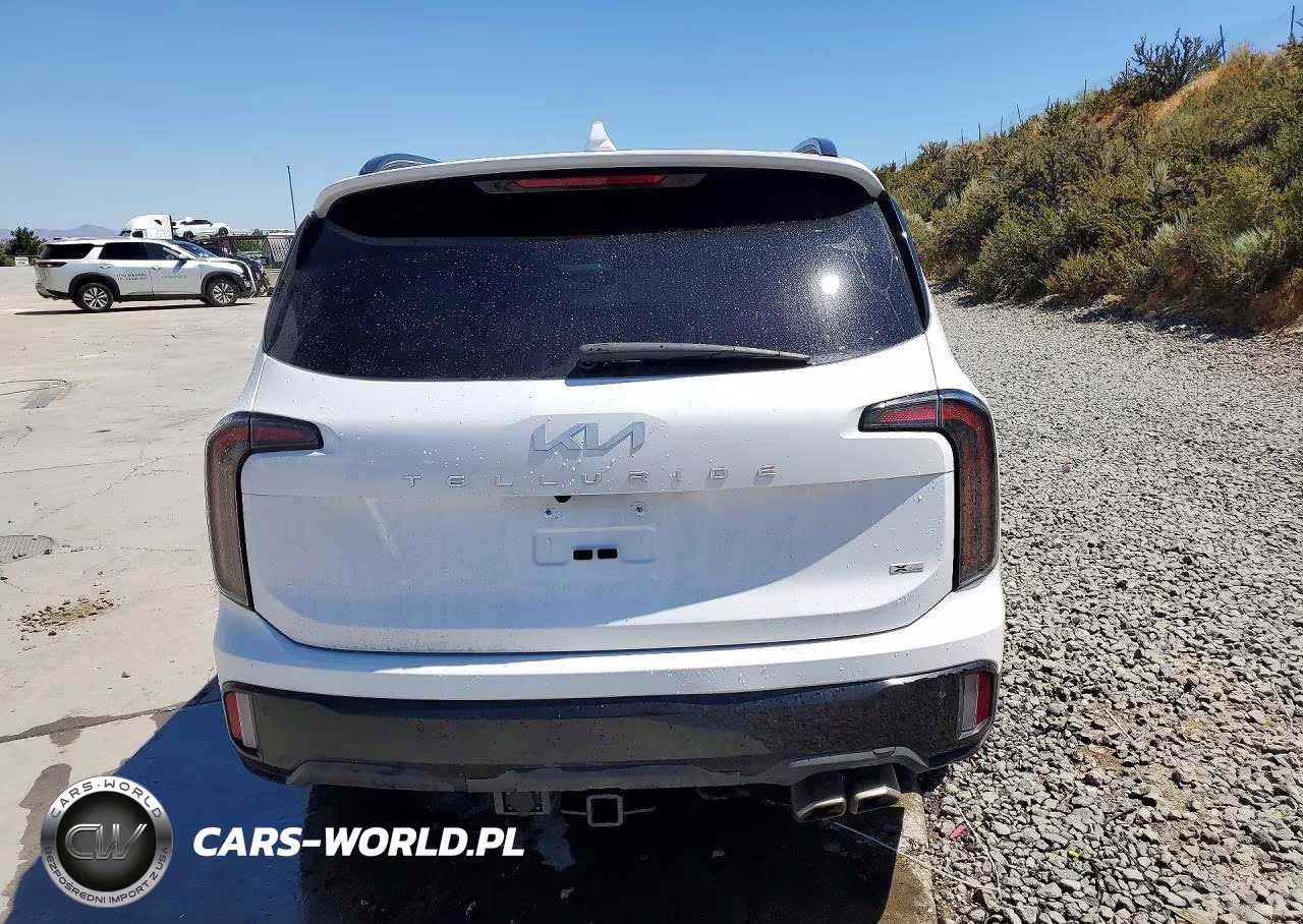 2024 Kia Telluride Sx-Prestige X-Line VIN:5XYP5DGCXRG550434 - 6