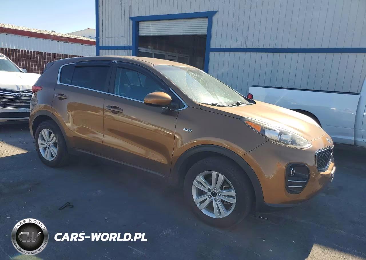 2017 Kia Sportage Lx VIN:KNDPMCAC6H7164465 - 4