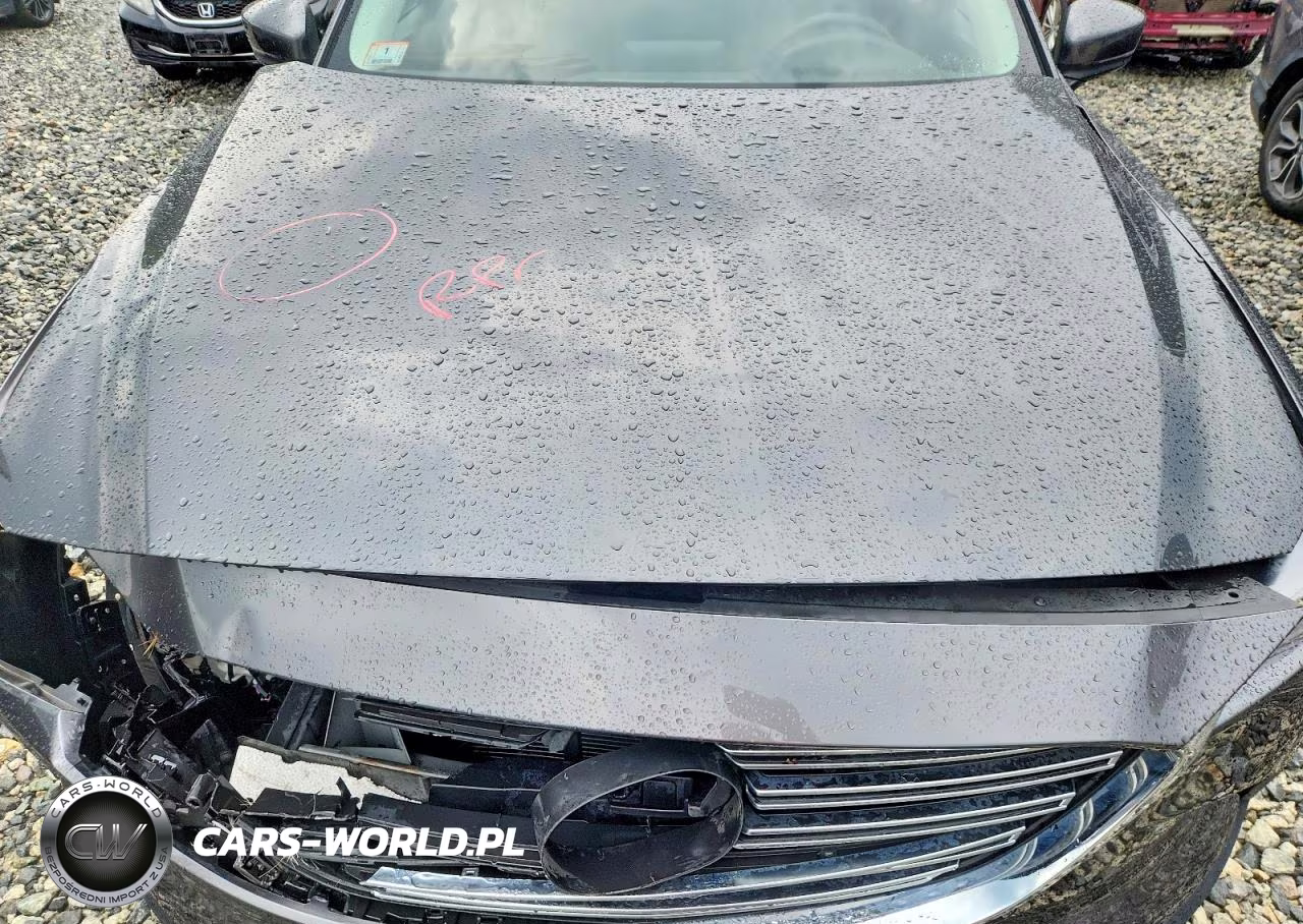 2018 Mazda Cx-9 Touring VIN:JM3TCBCY2J0217382 - 12