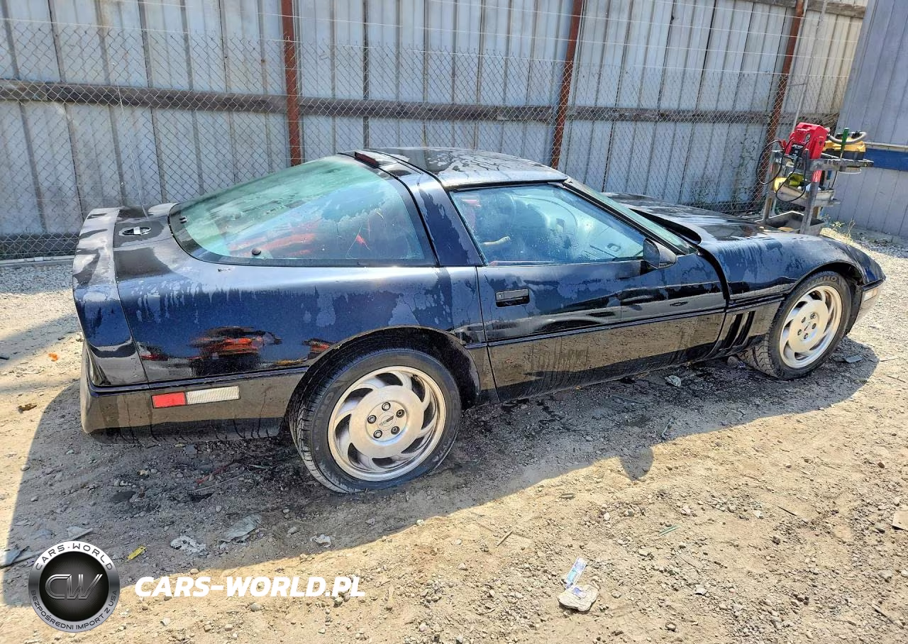 1990 Chevrolet Corvette VIN:1G1YY2389L5101675 - 3