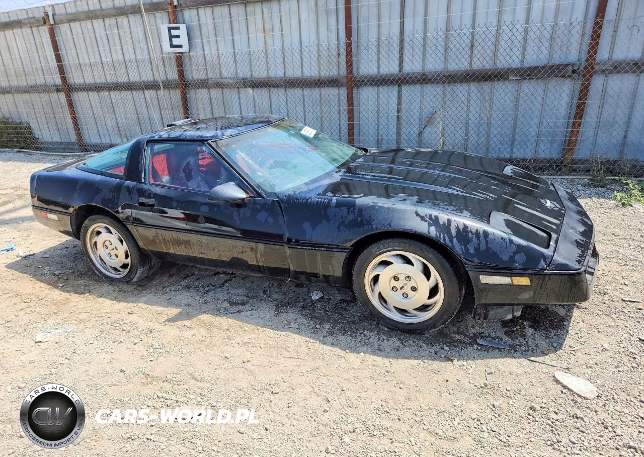 1990 Chevrolet Corvette VIN:1G1YY2389L5101675 - 4