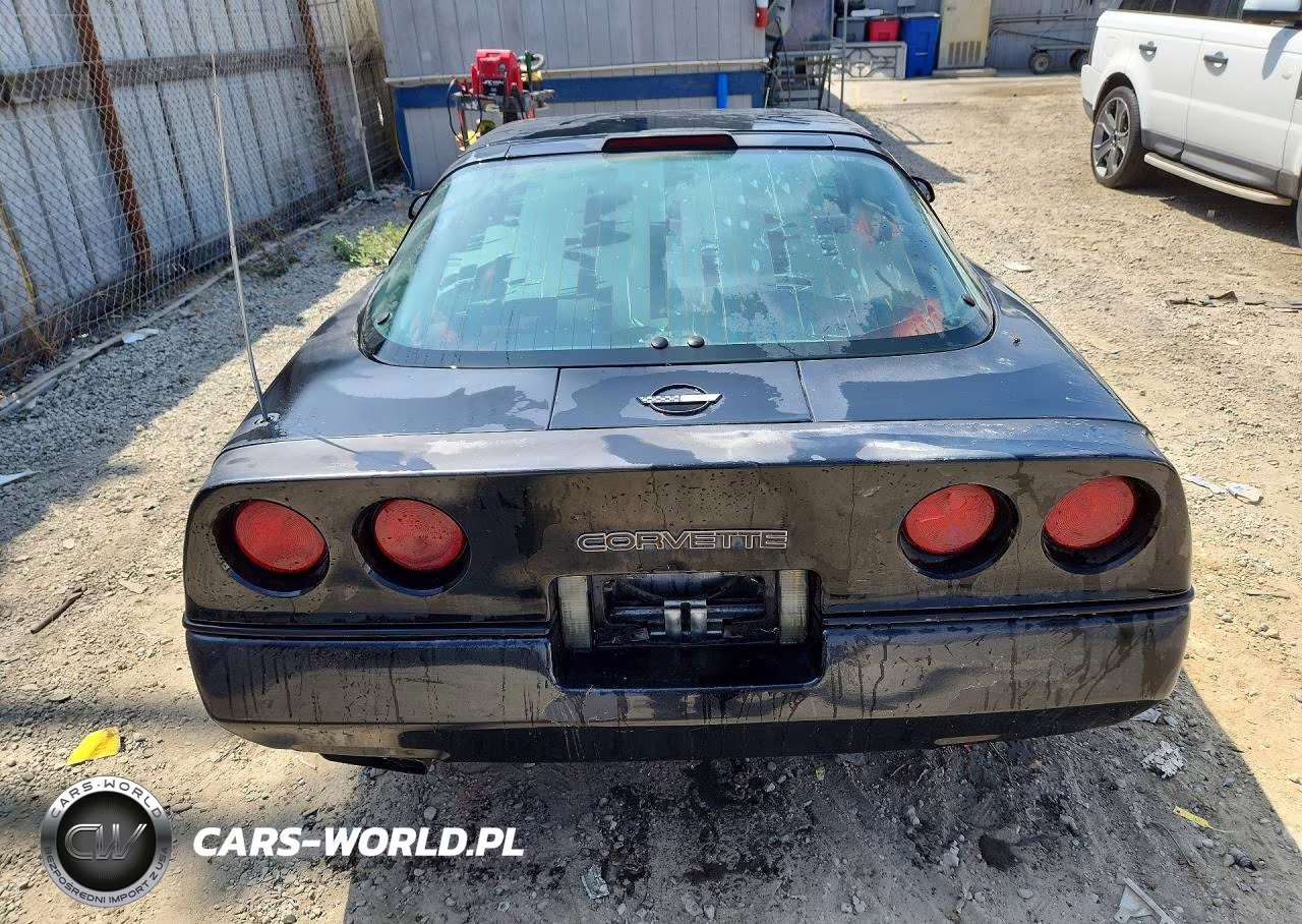 1990 Chevrolet Corvette VIN:1G1YY2389L5101675 - 6