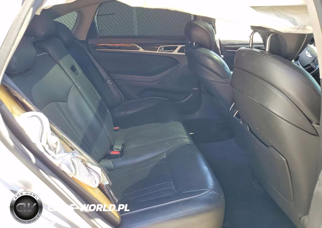 2015 Hyundai Genesis 3.8L VIN:KMHGN4JE3FU065021 - 10
