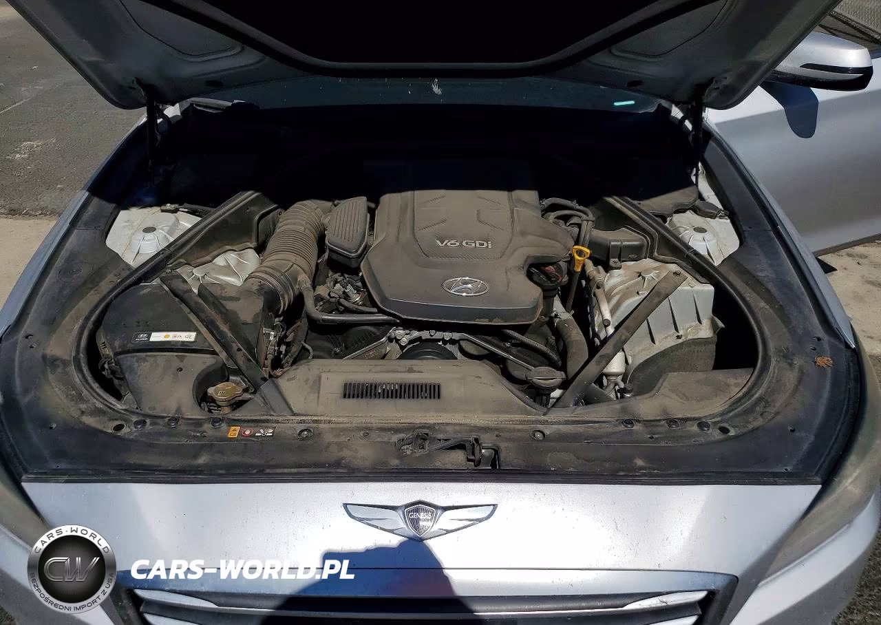 2015 Hyundai Genesis 3.8L VIN:KMHGN4JE3FU065021 - 11