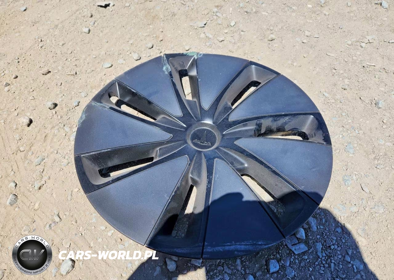2025 Tesla Model 3 VIN:5YJ3E1EA6SF900945 - 12