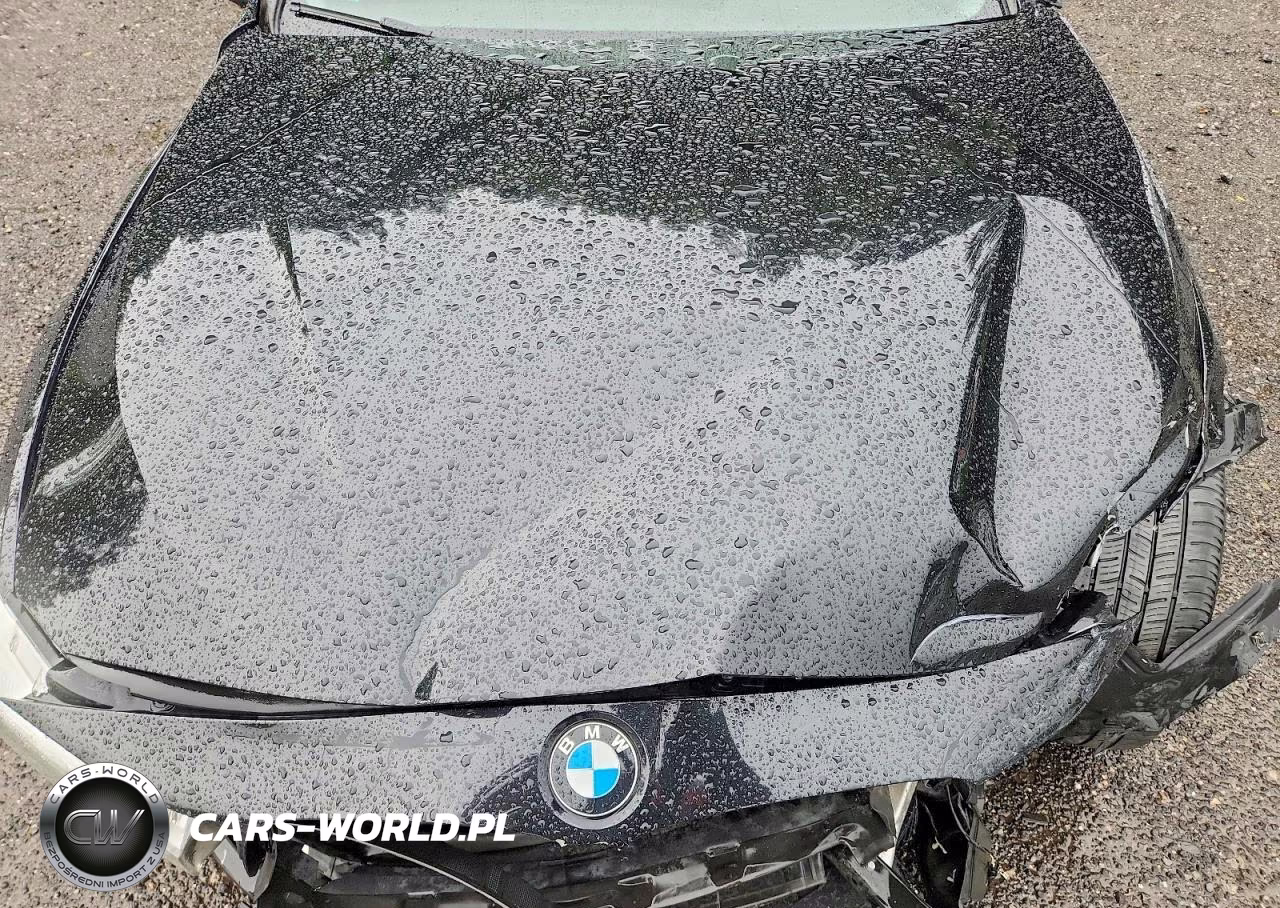 2016 BMW 320 Xi VIN:WBA8E5G57GNT40775 - 11