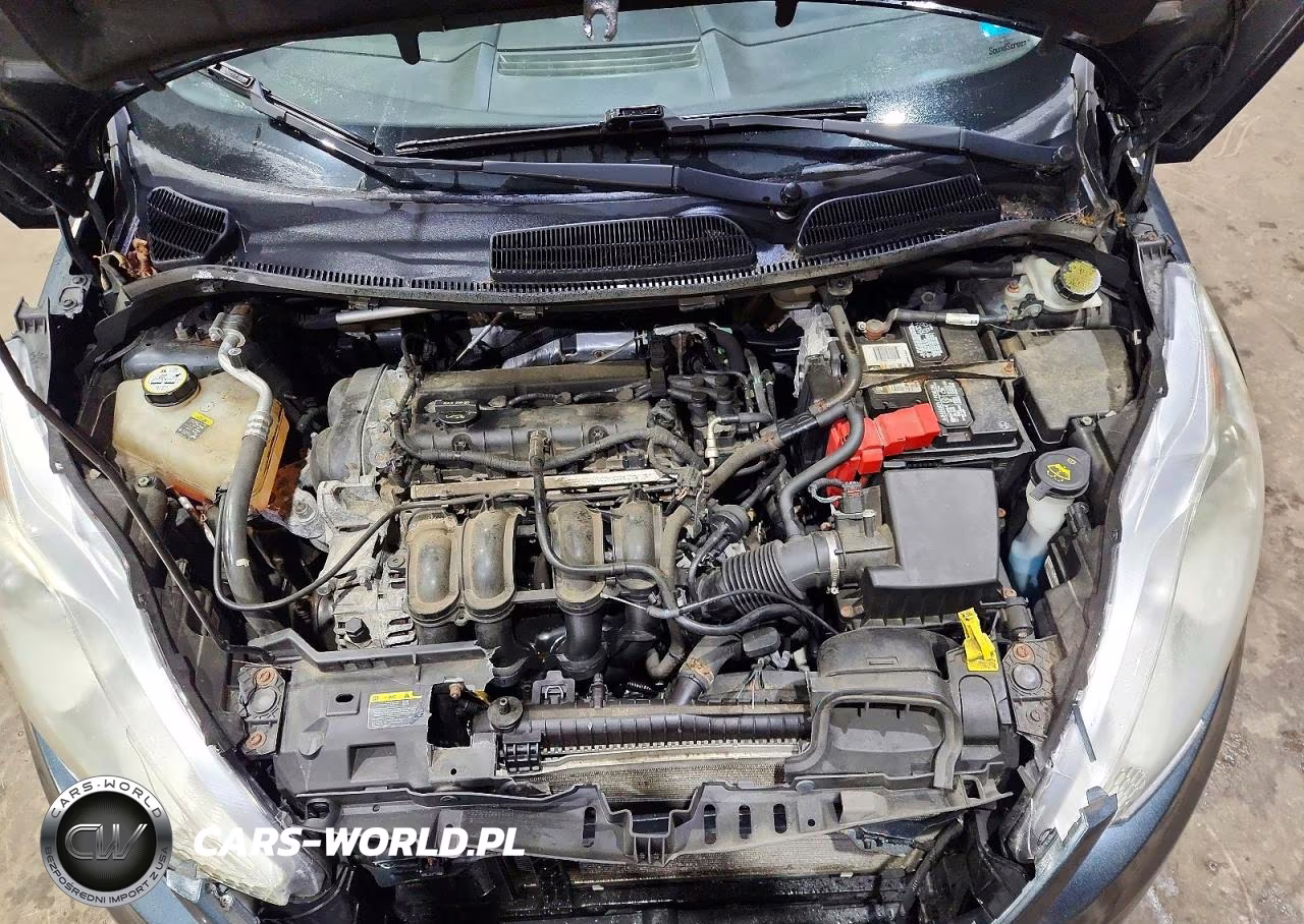 2011 Ford Fiesta Se VIN:3FADP4BJ1BM169539 - 11