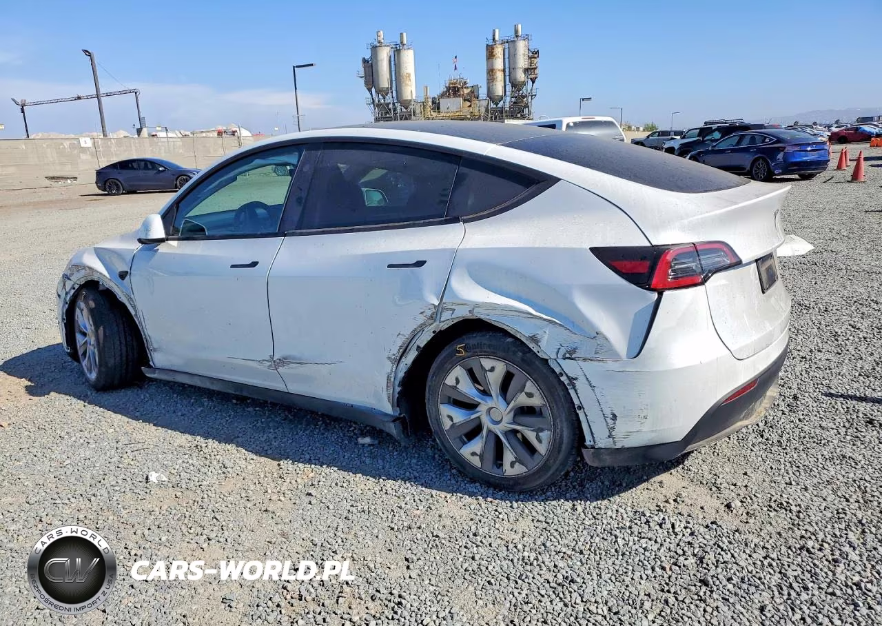 2024 Tesla Model Y VIN:7SAYGDED2RF088276 - 2