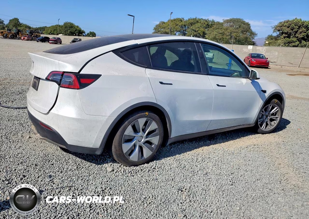 2024 Tesla Model Y VIN:7SAYGDED2RF088276 - 3