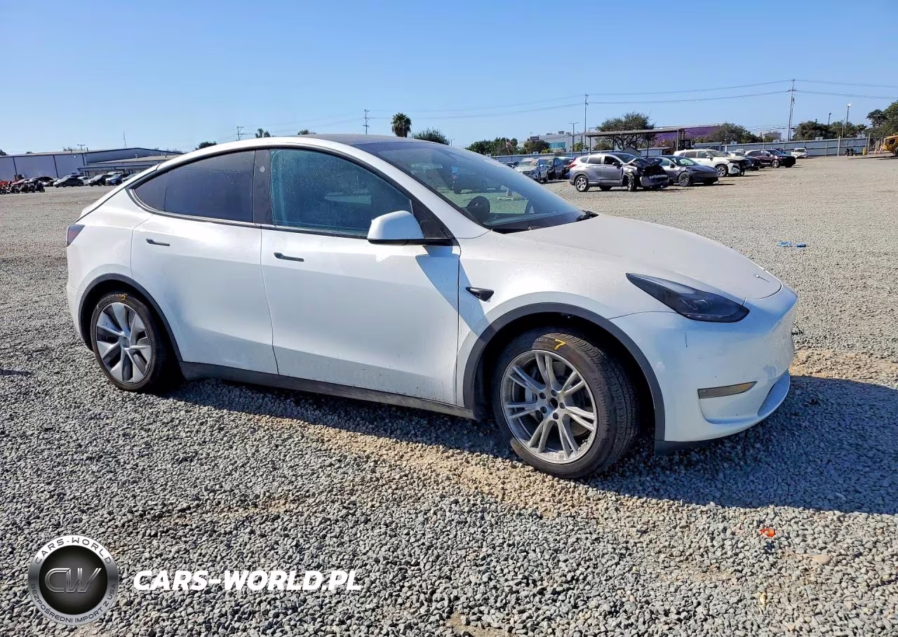 2024 Tesla Model Y VIN:7SAYGDED2RF088276 - 4