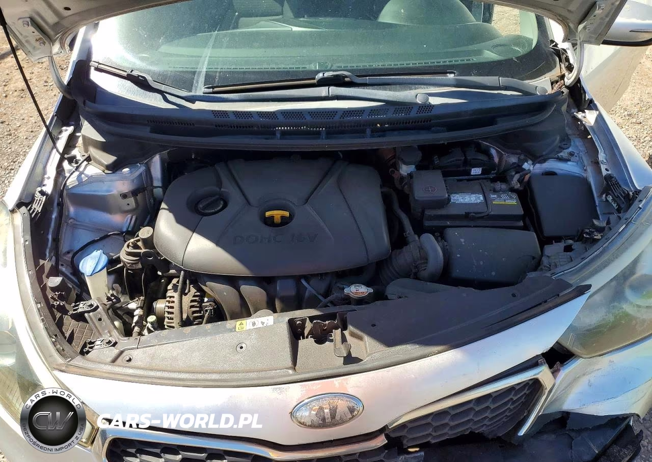 2014 KIA FORTE LX VIN:KNAFX4A66E5063305 - 11