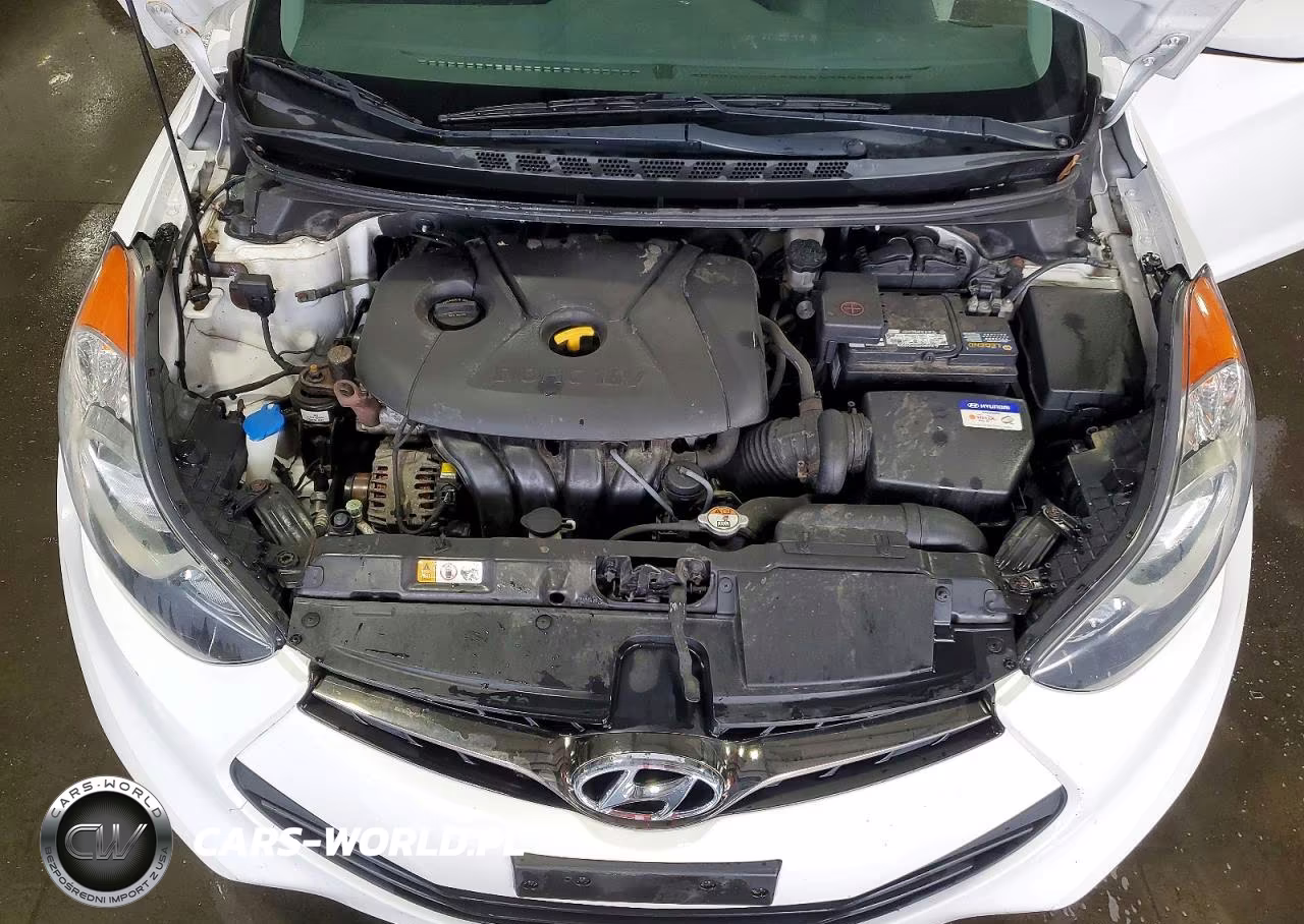 2013 Hyundai Elantra Coupe Gs VIN:KMHDH6AE9DU018661 - 11