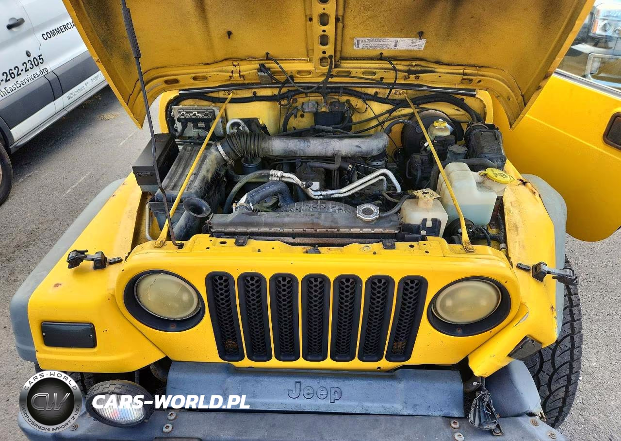 2000 Jeep Wrangler - Tj Sport VIN:1J4FA49S5YP715646 - 11