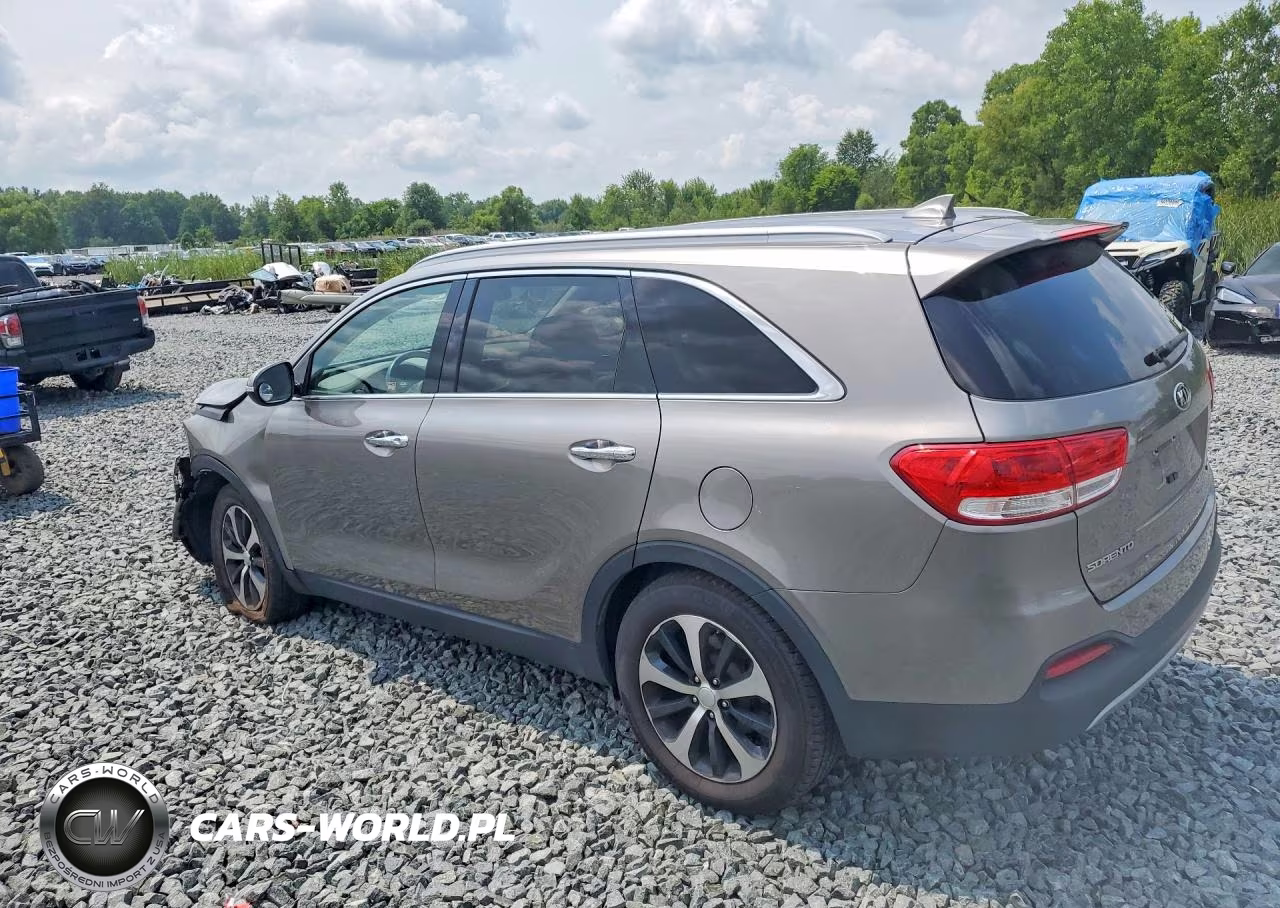 2016 Kia Sorento Ex VIN:5XYPH4A55GG112046 - 2