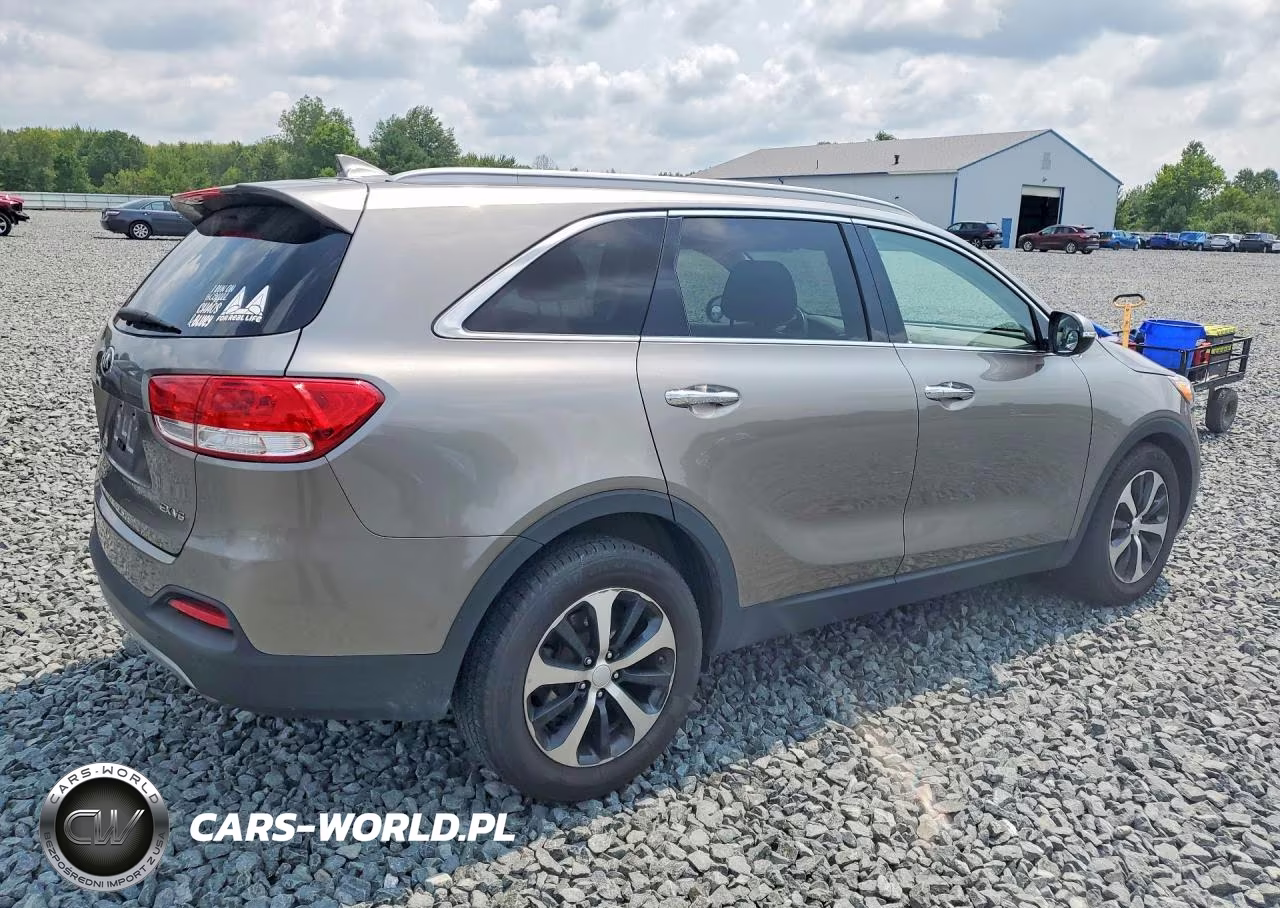 2016 Kia Sorento Ex VIN:5XYPH4A55GG112046 - 3