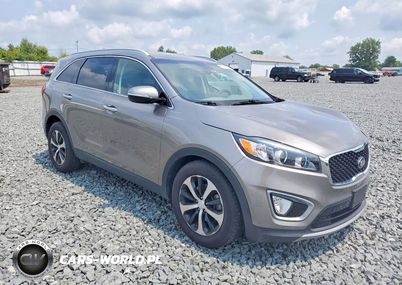 2016 Kia Sorento Ex VIN:5XYPH4A55GG112046 - 4