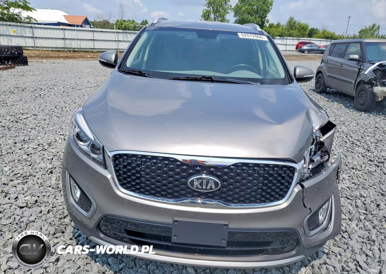 2016 Kia Sorento Ex VIN:5XYPH4A55GG112046 - 5