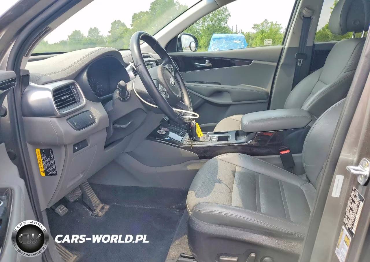 2016 Kia Sorento Ex VIN:5XYPH4A55GG112046 - 7