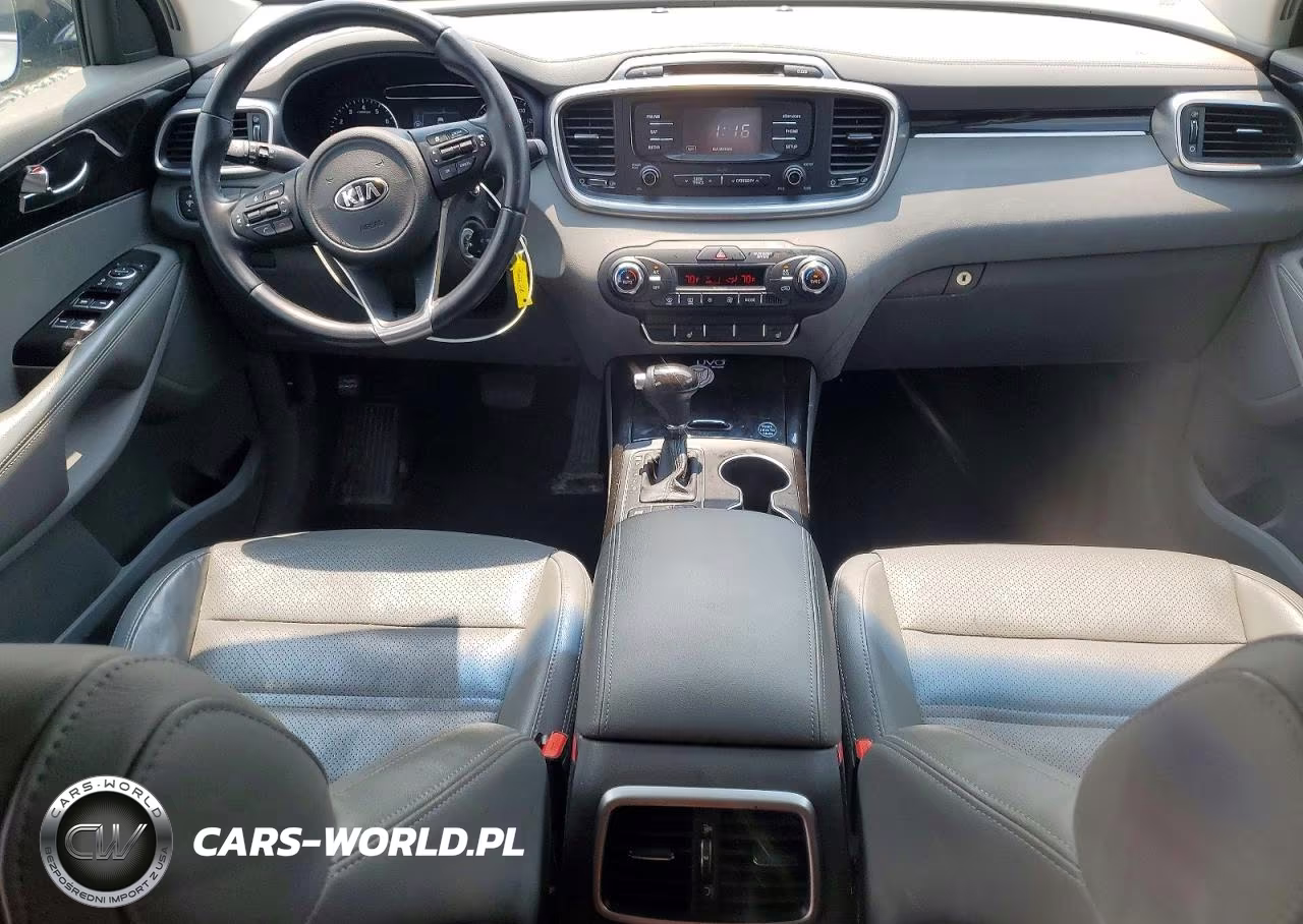 2016 Kia Sorento Ex VIN:5XYPH4A55GG112046 - 8