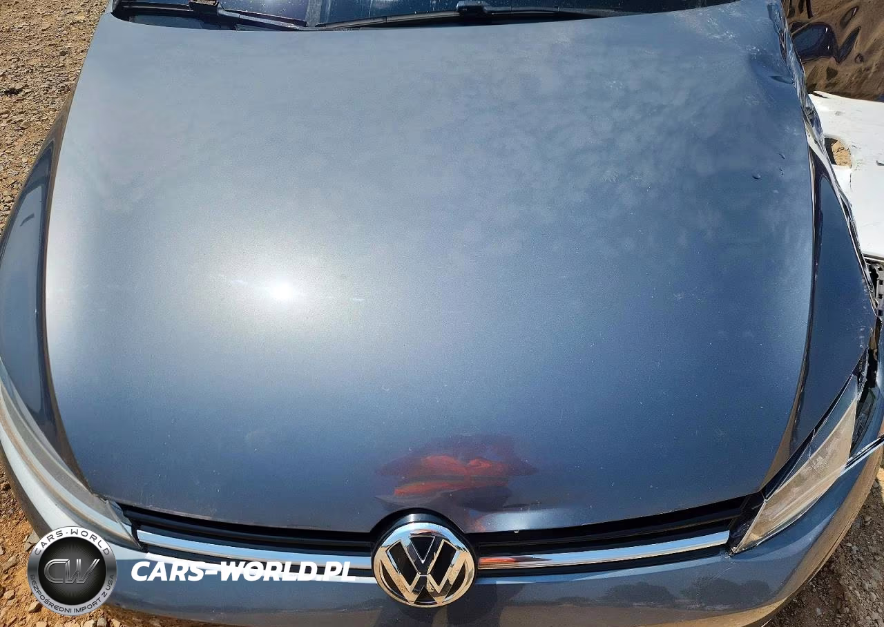 2019 Volkswagen Golf Sportwagen S VIN:3VW117AU7KM508409 - 11
