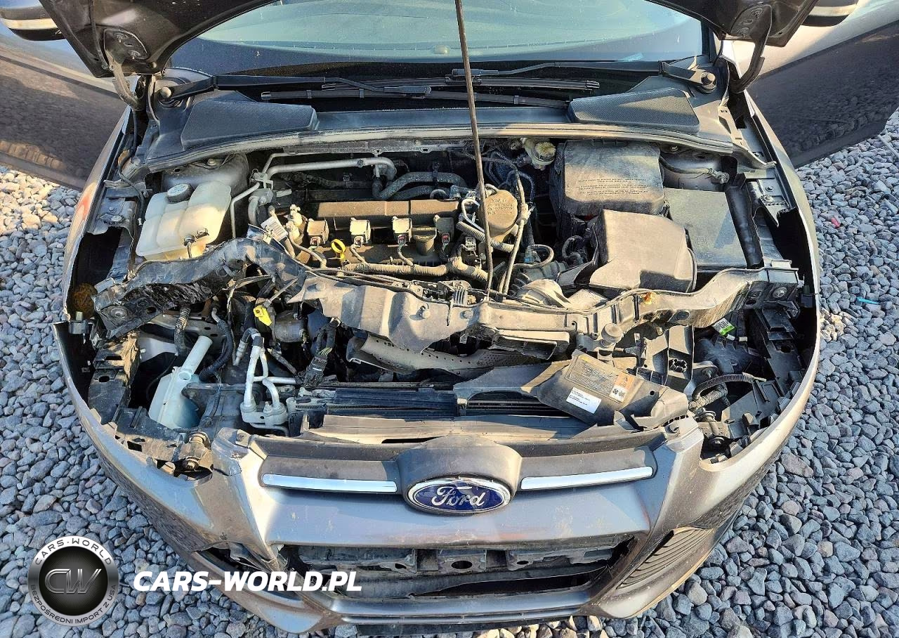 2014 Ford Focus Se VIN:1FADP3F25EL143514 - 11