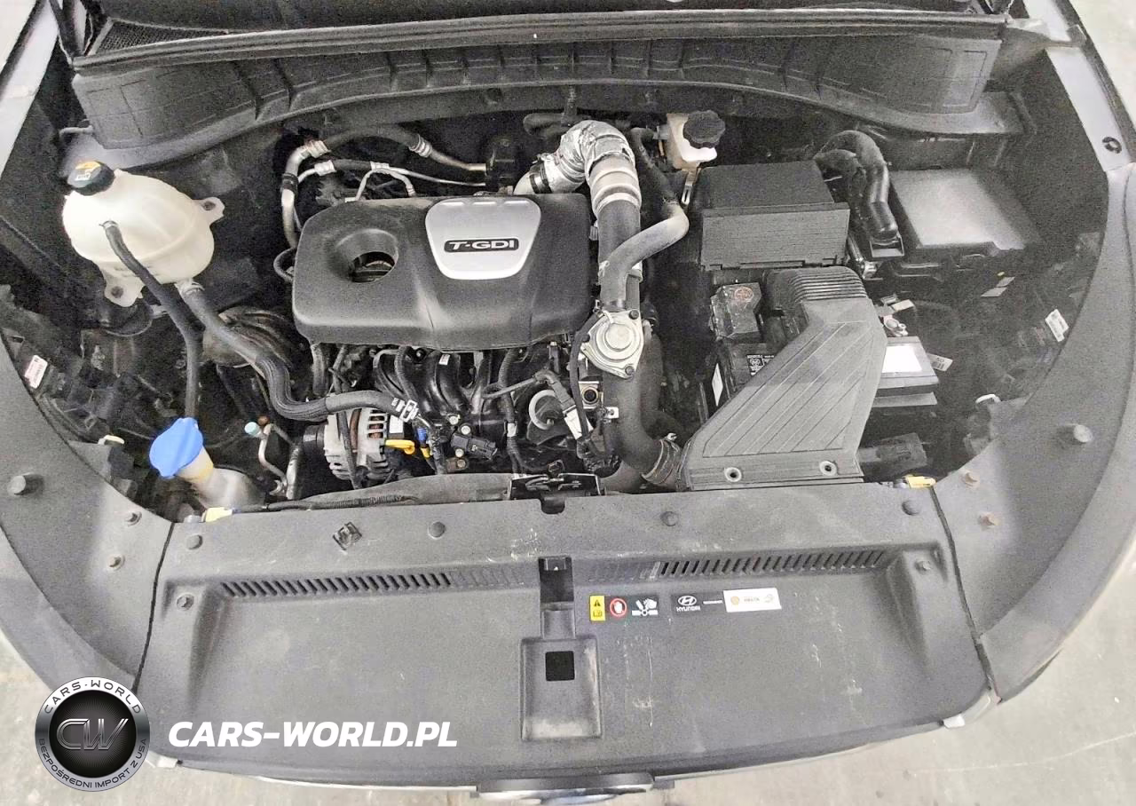 2017 Hyundai Tucson Limited VIN:KM8J3CA26HU281816 - 12