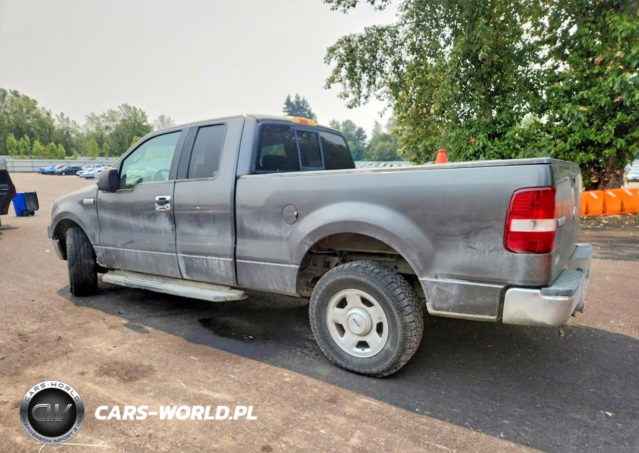 2004 Ford F150 VIN:1FTRX12W44NB76231 - 2