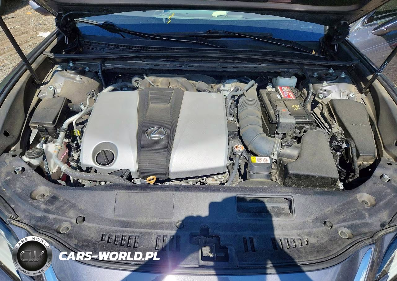 2019 Lexus Es 350 VIN:58ABZ1B13KU030720 - 11