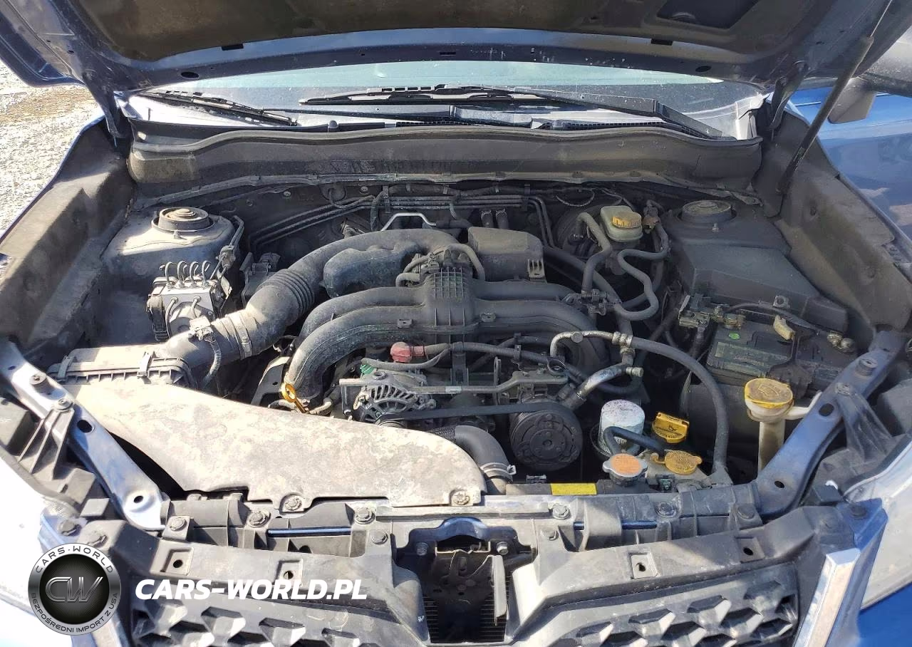 2015 Subaru Forester 2.5I VIN:JF2SJABCXFH573776 - 11