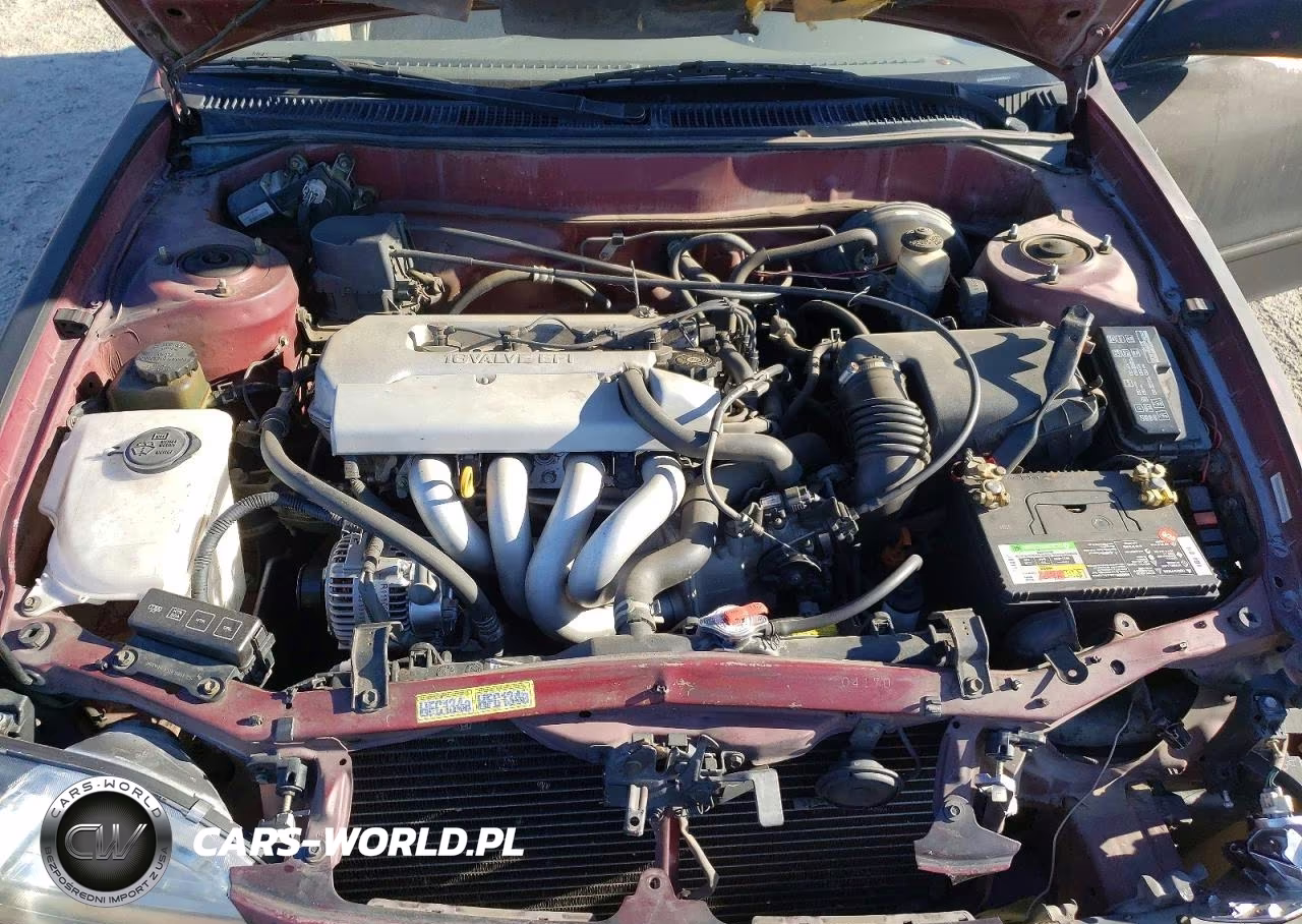 1998 Toyota Corolla Ve VIN:1NXBR18E0WZ029368 - 11